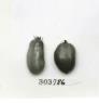 Click for 3 image(s) for this accession. FRUIT